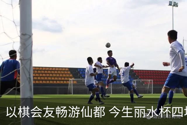 以棋会友畅游仙都 今生丽水杯四地围棋交流活动圆满落幕